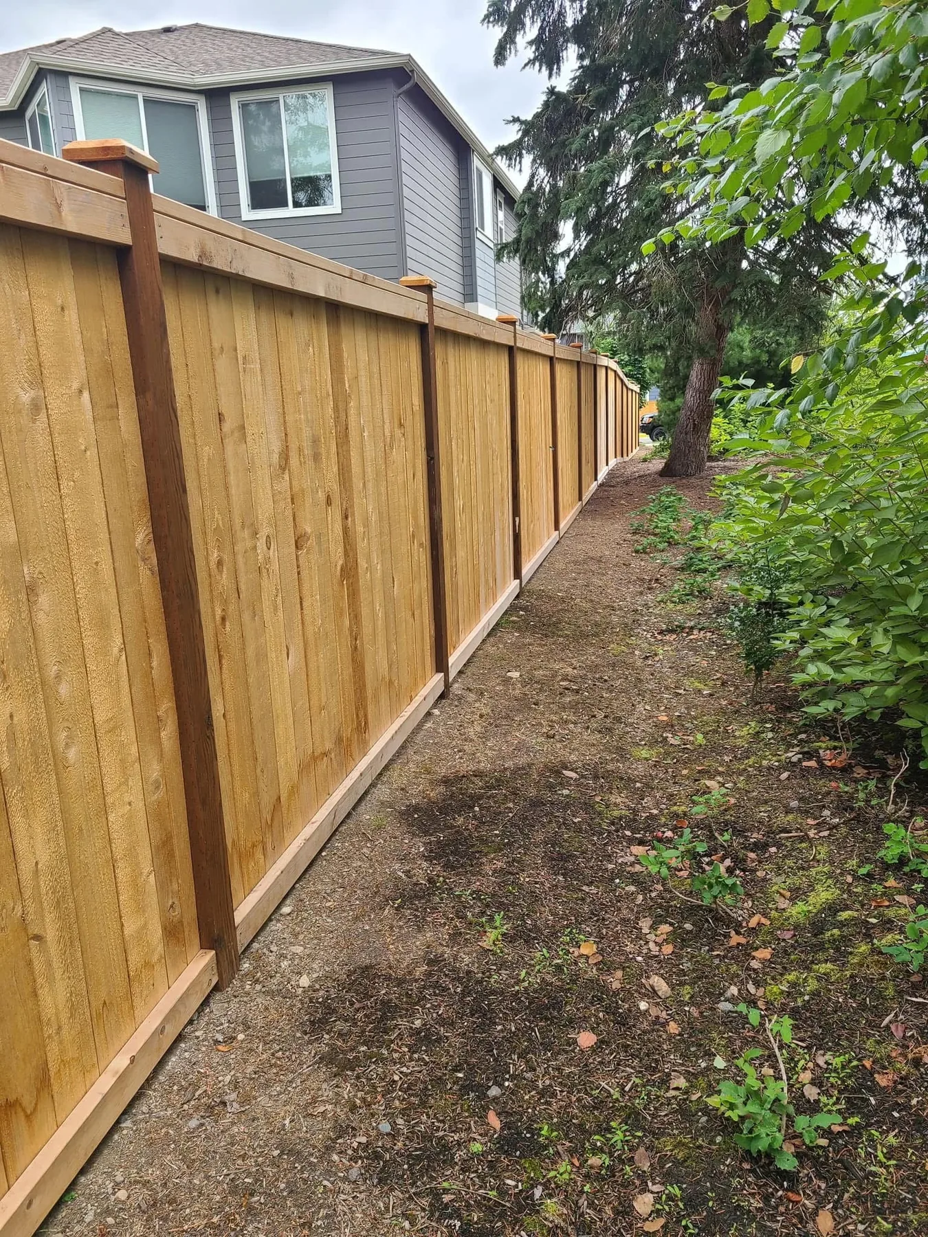 Fencing & Decks project photo