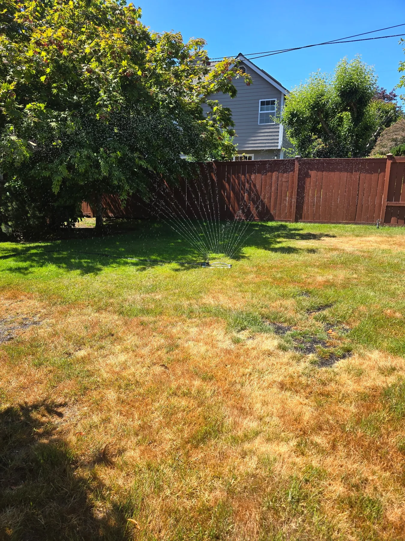 Sprinkler Systems project by United Landscaping