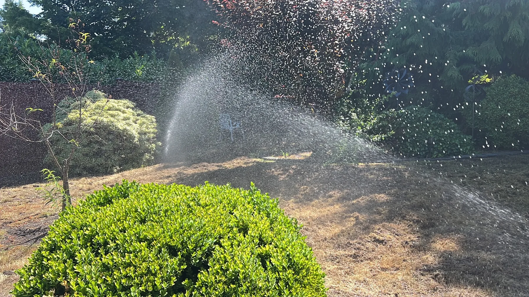 Sprinkler Systems project photo