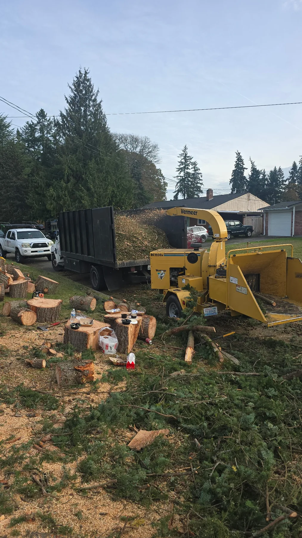 Tree Services project photo
